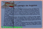ampliar